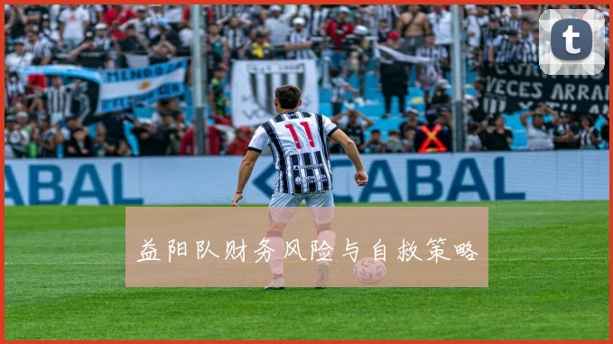 益阳队财务风险与自救策略