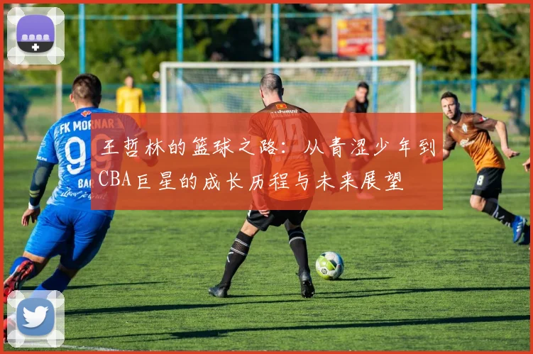 王哲林的篮球之路：从青涩少年到CBA巨星的成长历程与未来展望