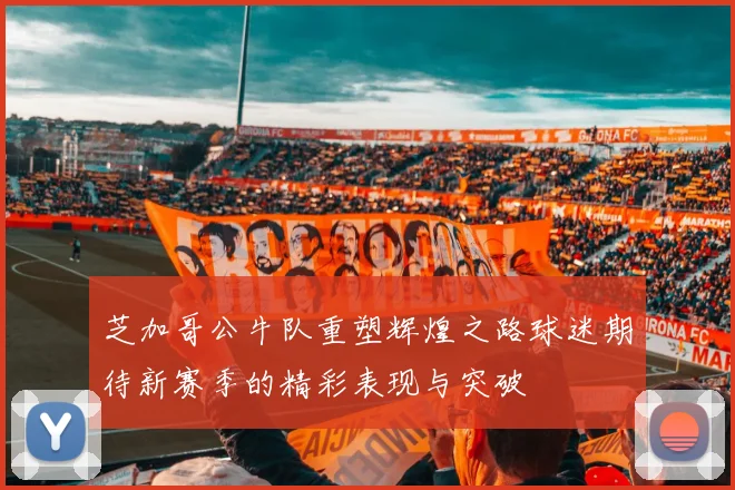 芝加哥公牛队重塑辉煌之路球迷期待新赛季的精彩表现与突破