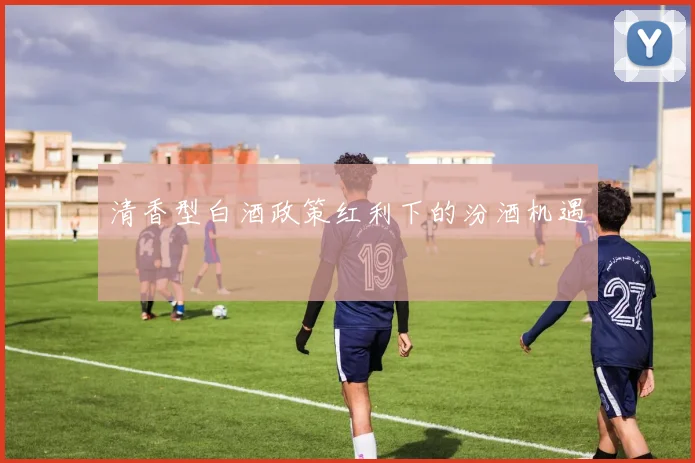 清香型白酒政策红利下的汾酒机遇