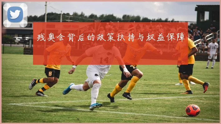 残奥会背后的政策扶持与权益保障
