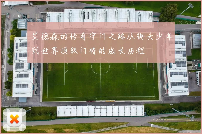 艾德森的传奇守门之路从街头少年到世界顶级门将的成长历程