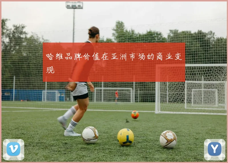 哈维品牌价值在亚洲市场的商业变现