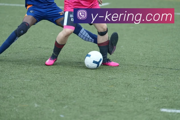 开云APP 高清赛事图