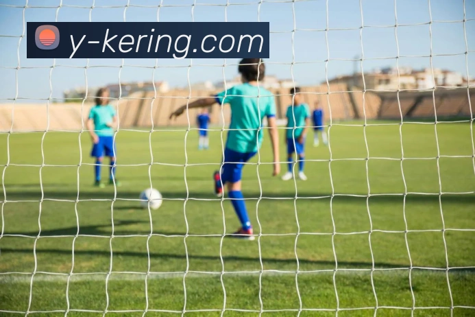 开云APP 高清赛事图